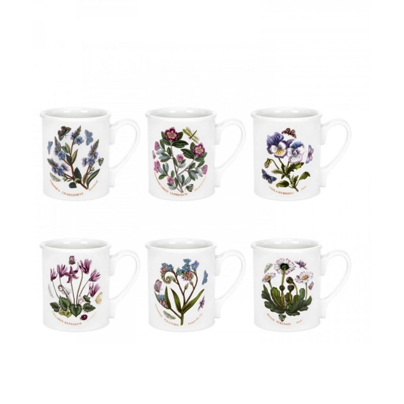 Botanic Garden Breakfast Mug Set/6
