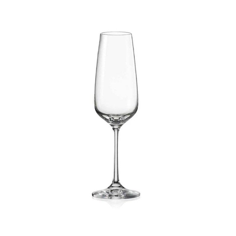 Giselle Champagne Glasses (Set of 6)