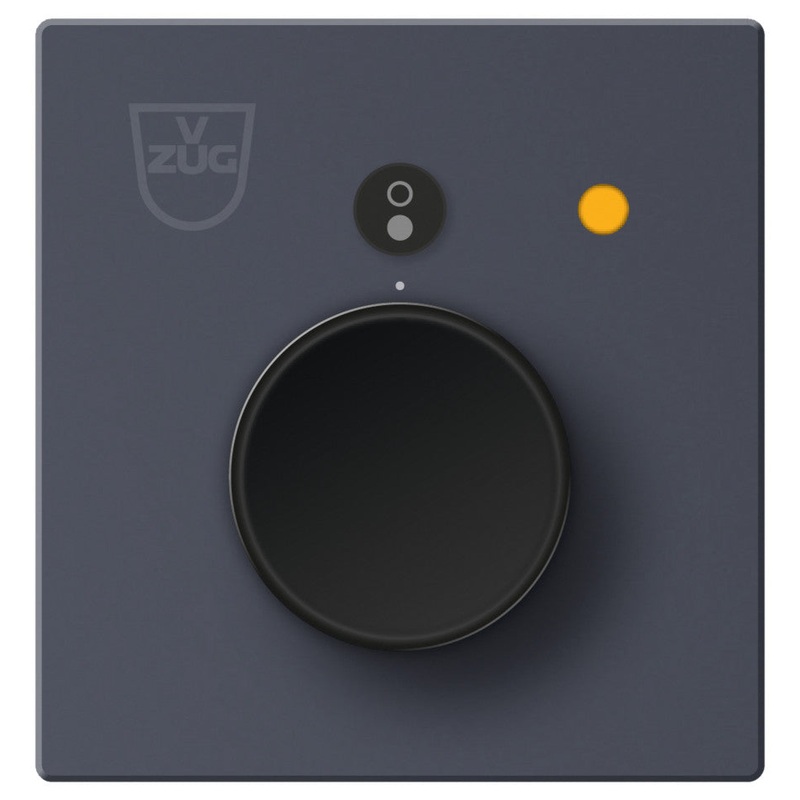 V-Zug Bedienelement Schaltkasten Spiegelglas EN2