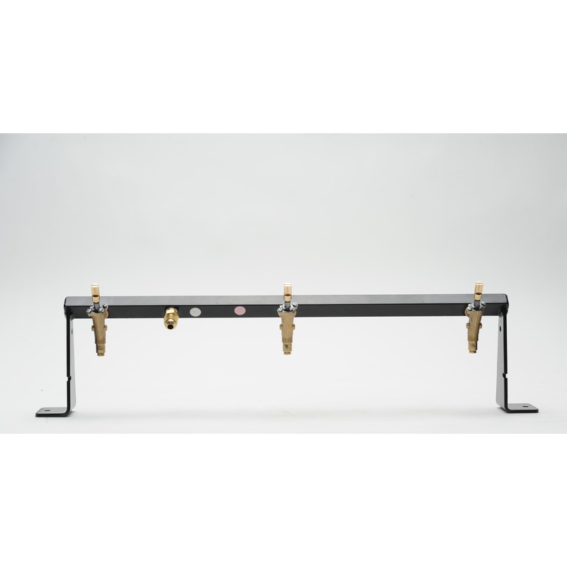Weber 70055 Manifold Assembly Genesis 310 NG