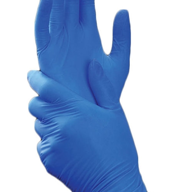 Avianz EZ Don Disposable Gloves, Nitrile, Blue (200-pack), FINAL SALE