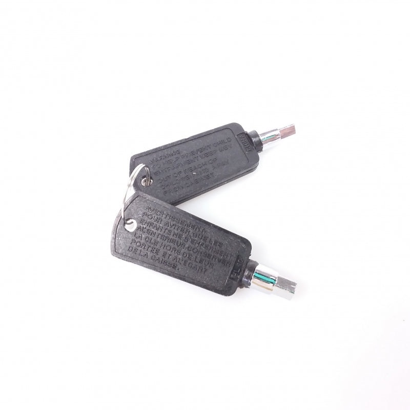 Wine Chiller  Five Sided Key - EI1277
