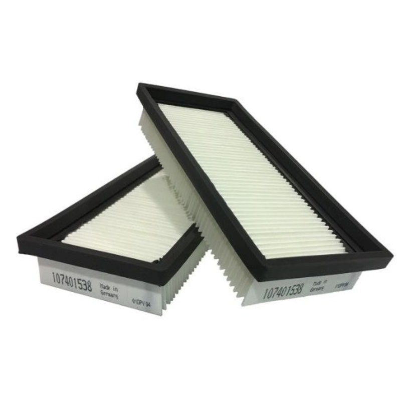 Vacuum Cleaner Flat Filter Set -302002842