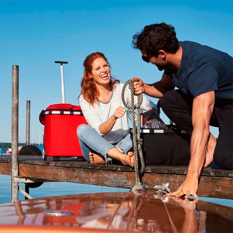 Carrito de compra isotrmico Carrycruiser Reisenthel