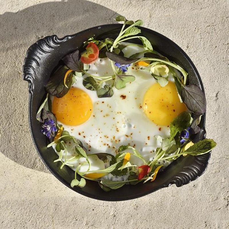 Platos redondos de porcelana Revol