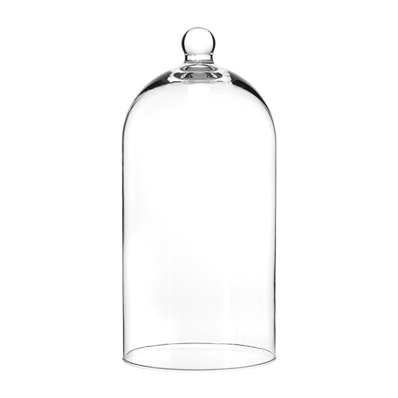 Alira glass cloche 13x28cm